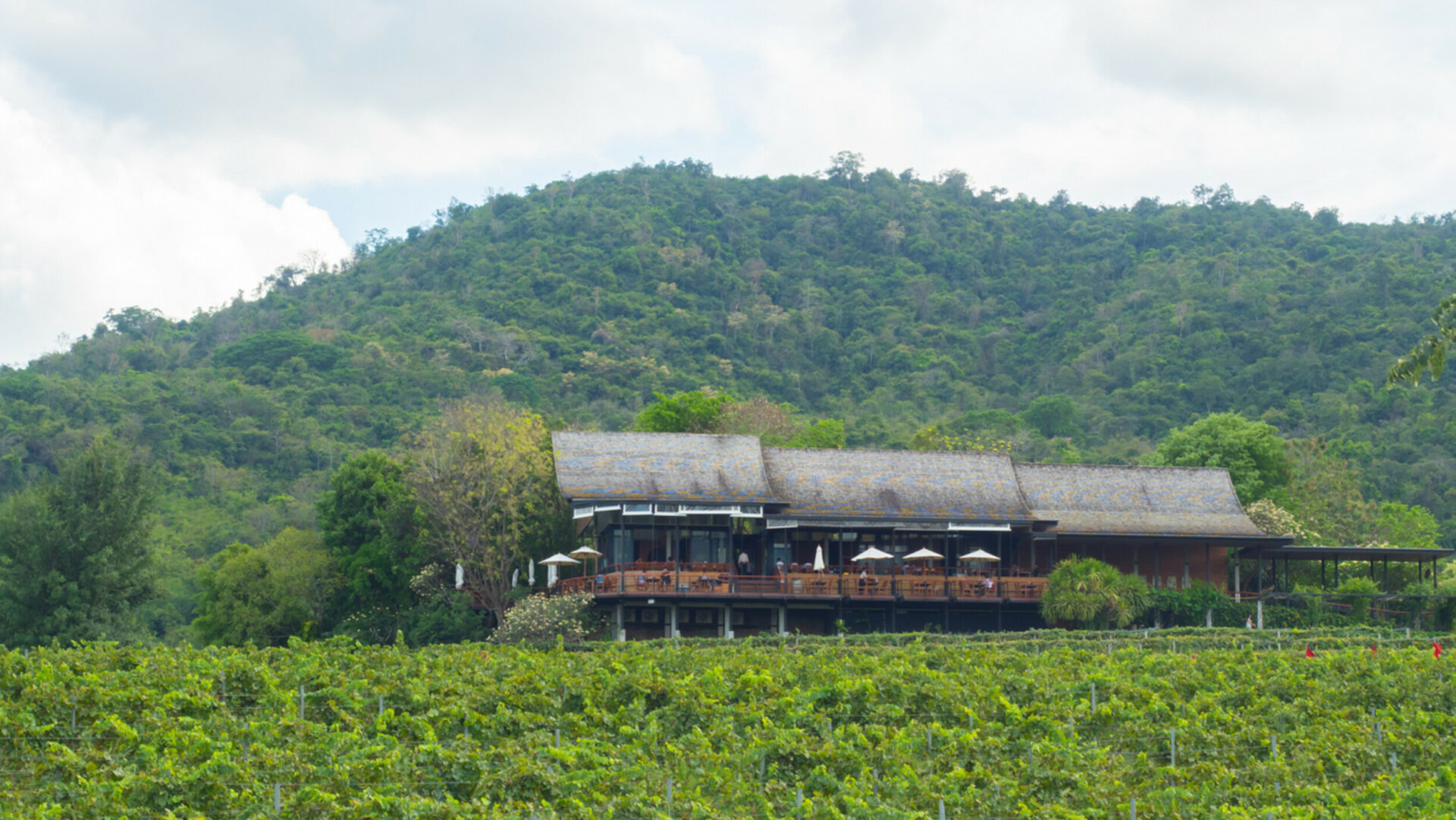 Bangkok Cycling Along The Coast Line to Khao Lak 11 Days